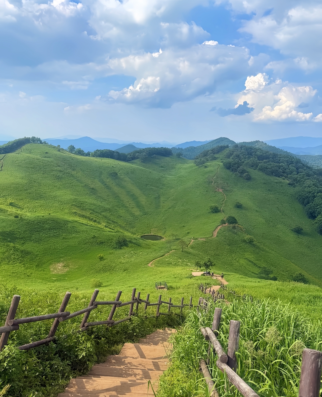 Mindungsan Mountain in Summer: Korea’s Hidden Green Paradise